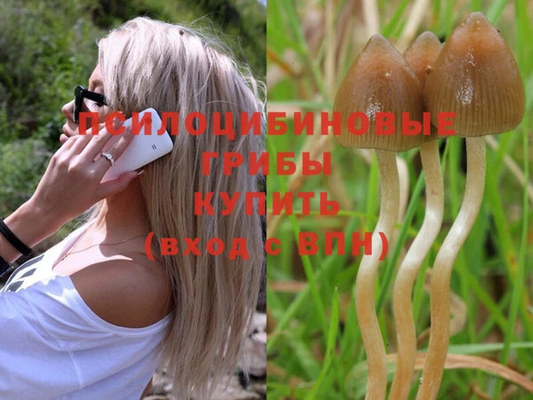 соль курить ск Надым