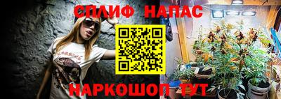 стаф Берёзовский