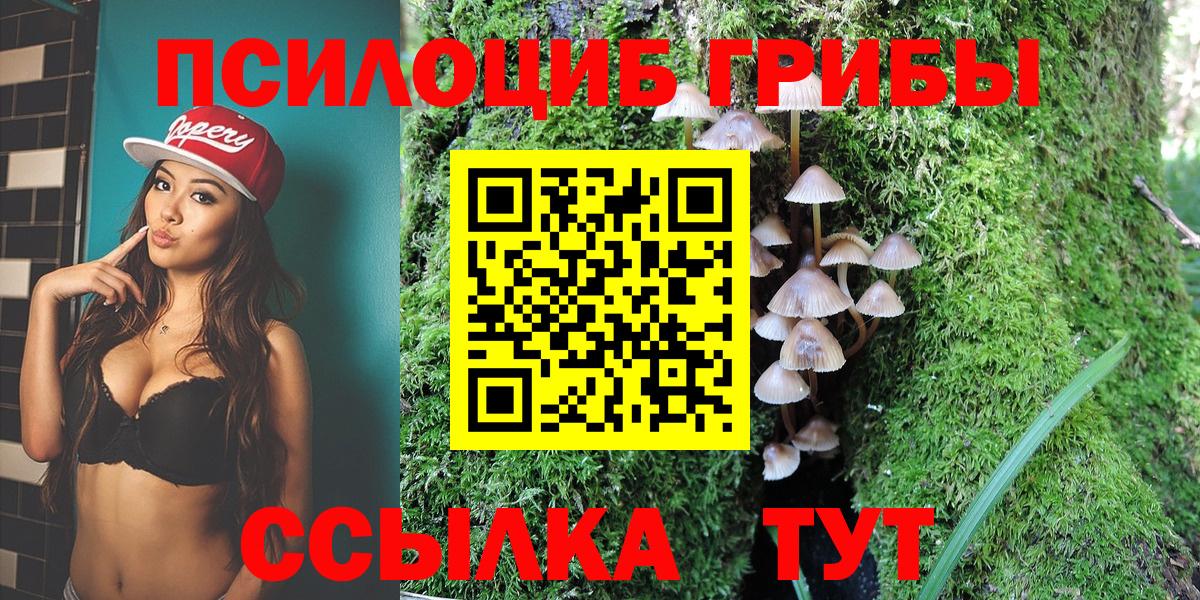 Псилоцибиновые грибы Magic Shrooms  Вход с VPN  Ейск 