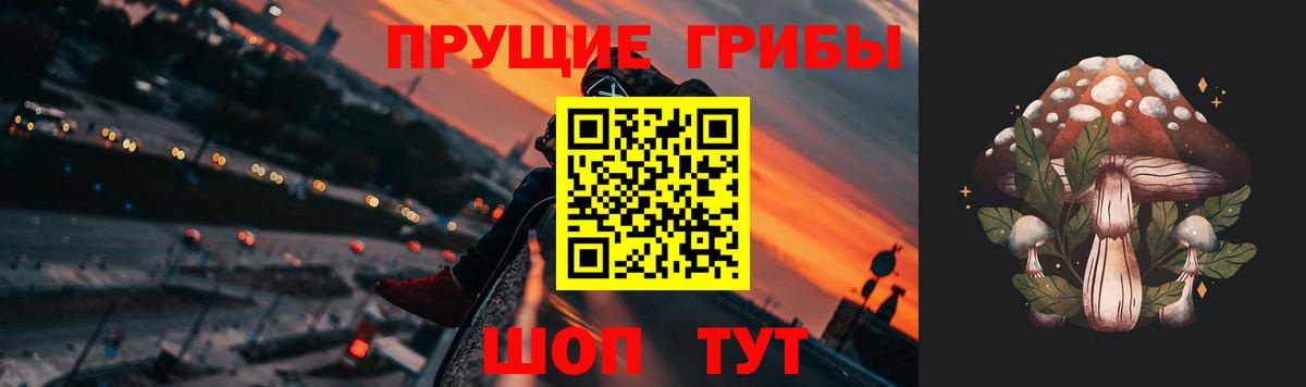 Галлюциногенные грибы GOLDEN TEACHER Ейск